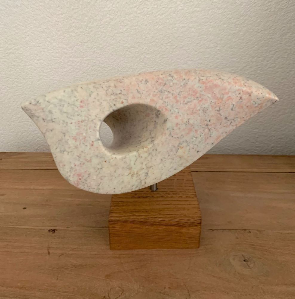 beeld vrije vogel