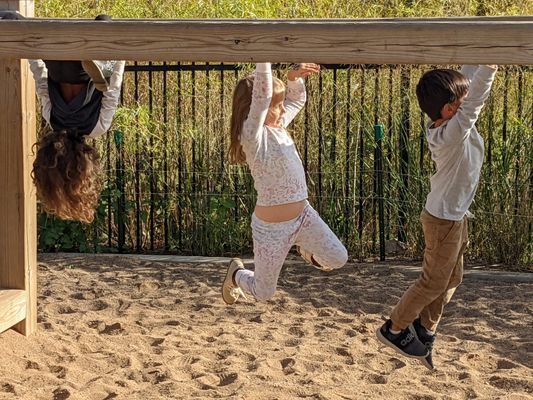 A group of children are playing on a playground