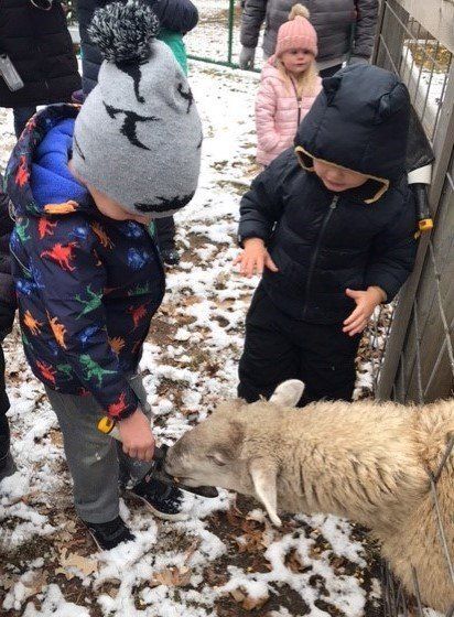 A group of children are petting a sheep 