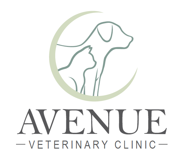 Avenue Vetrinary Clinic