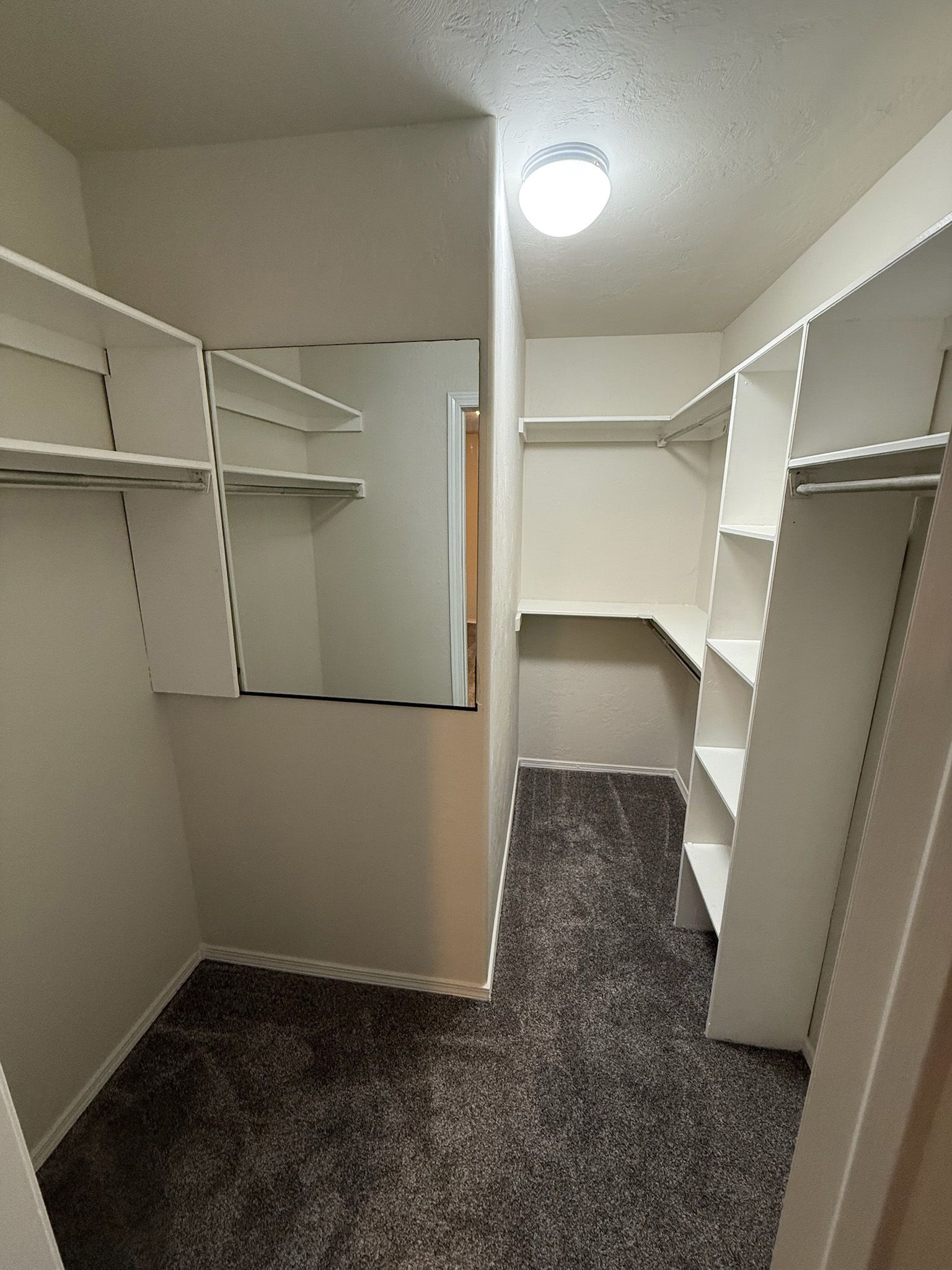 Walk-in closet with white shelves and a mirror. Dark gray carpet.