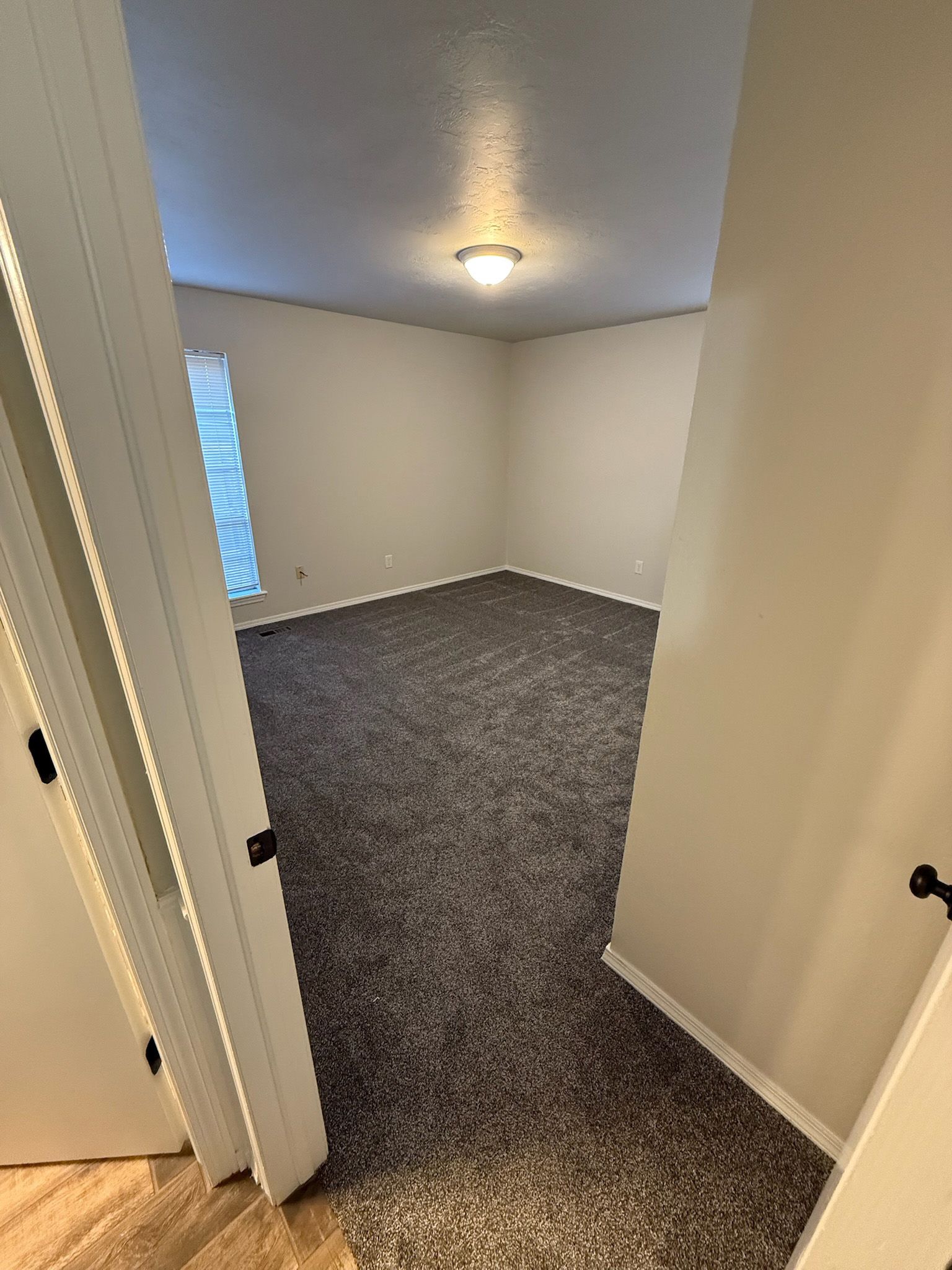 View through a doorway into a beige-walled room with dark carpet, a window, and a ceiling light.