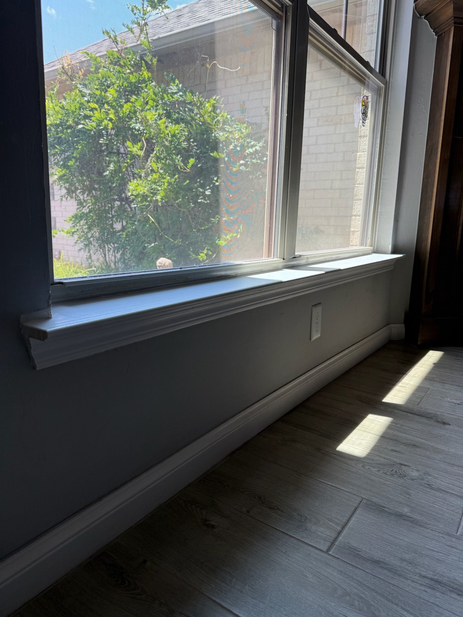 Window with white trim, gray wall, and sunlight, overlooking a green tree outside.