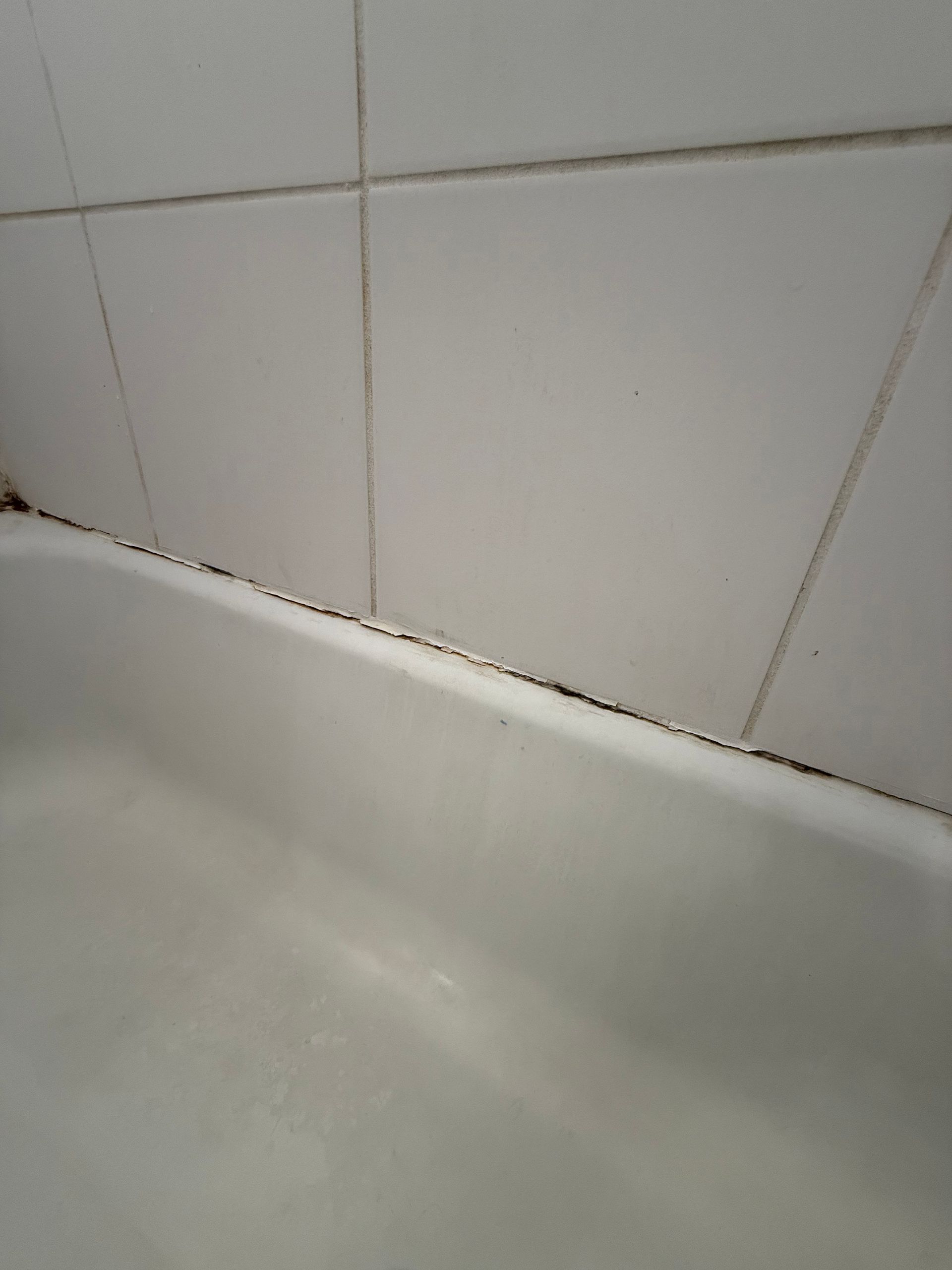 Black mold growing along the caulking between a white bathtub and tiled wall.
