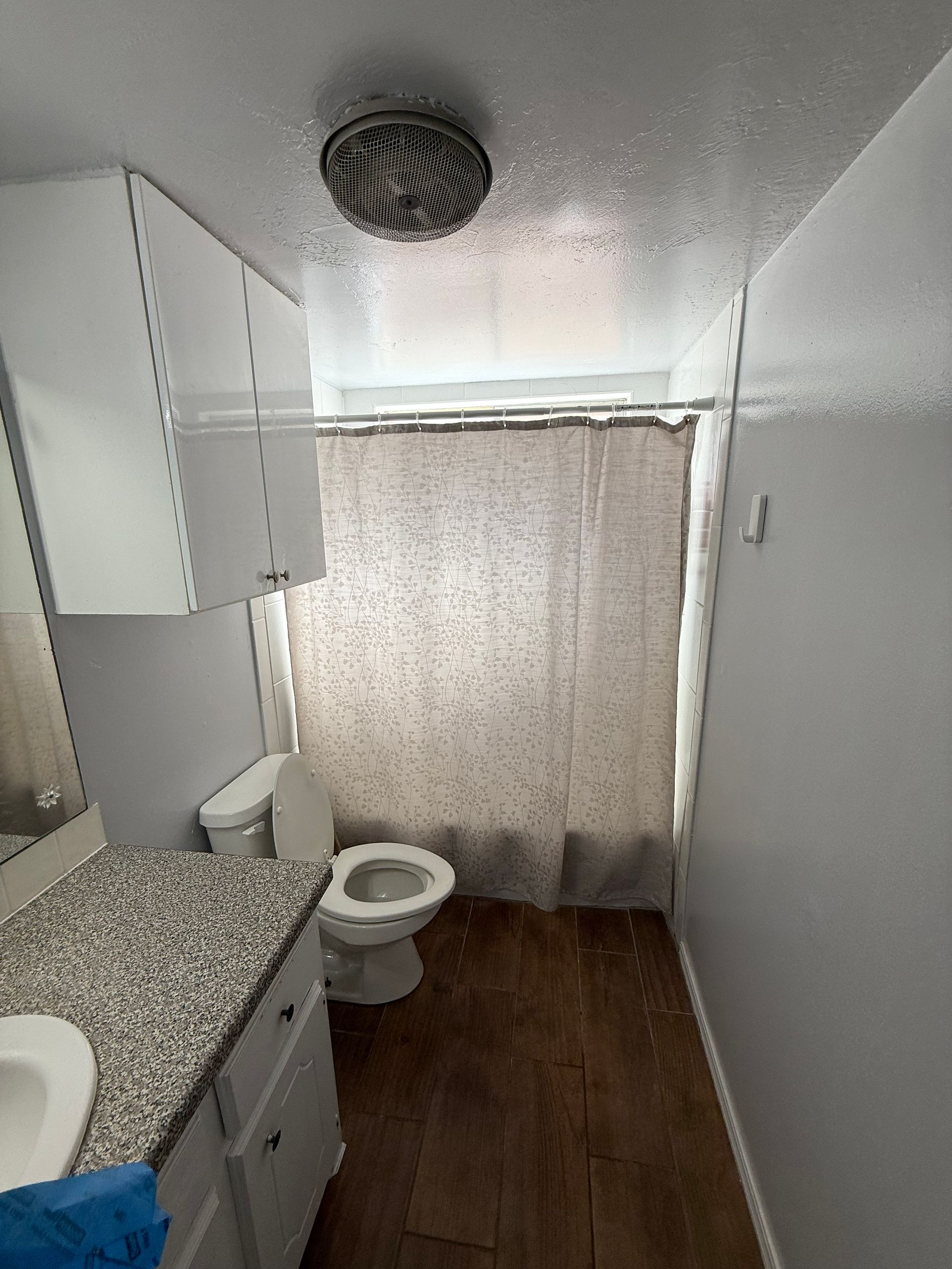 Bathroom with toilet, vanity, shower curtain, and ceiling vent.