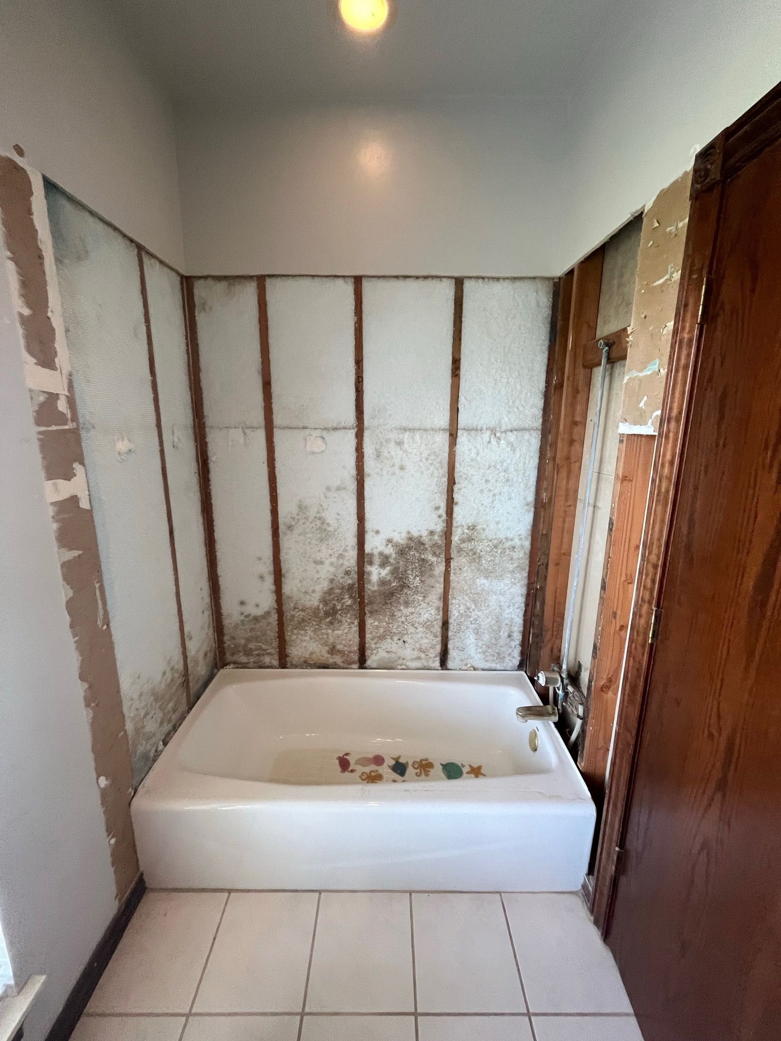 Bathroom renovation in progress; exposed walls with visible mold above a white bathtub. Brown door on the right.