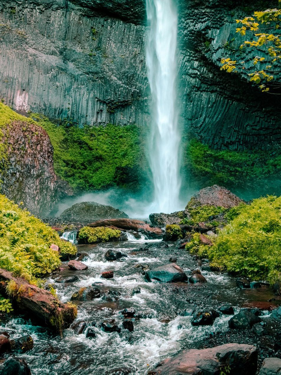 Mountainside seo