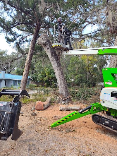A man is cutting a tree with a crane.