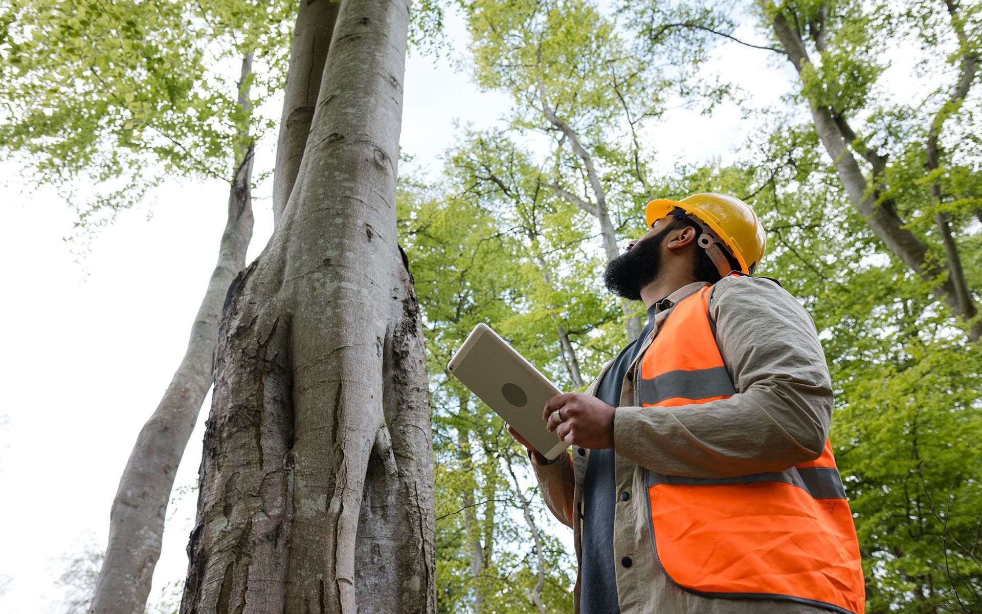A man is standing next to a tree holding a tablet.