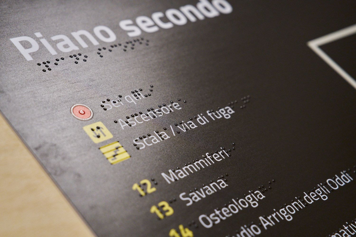 Museo di storia naturale, ingresso con mappa visiva e tattile e reception con parte ribassata