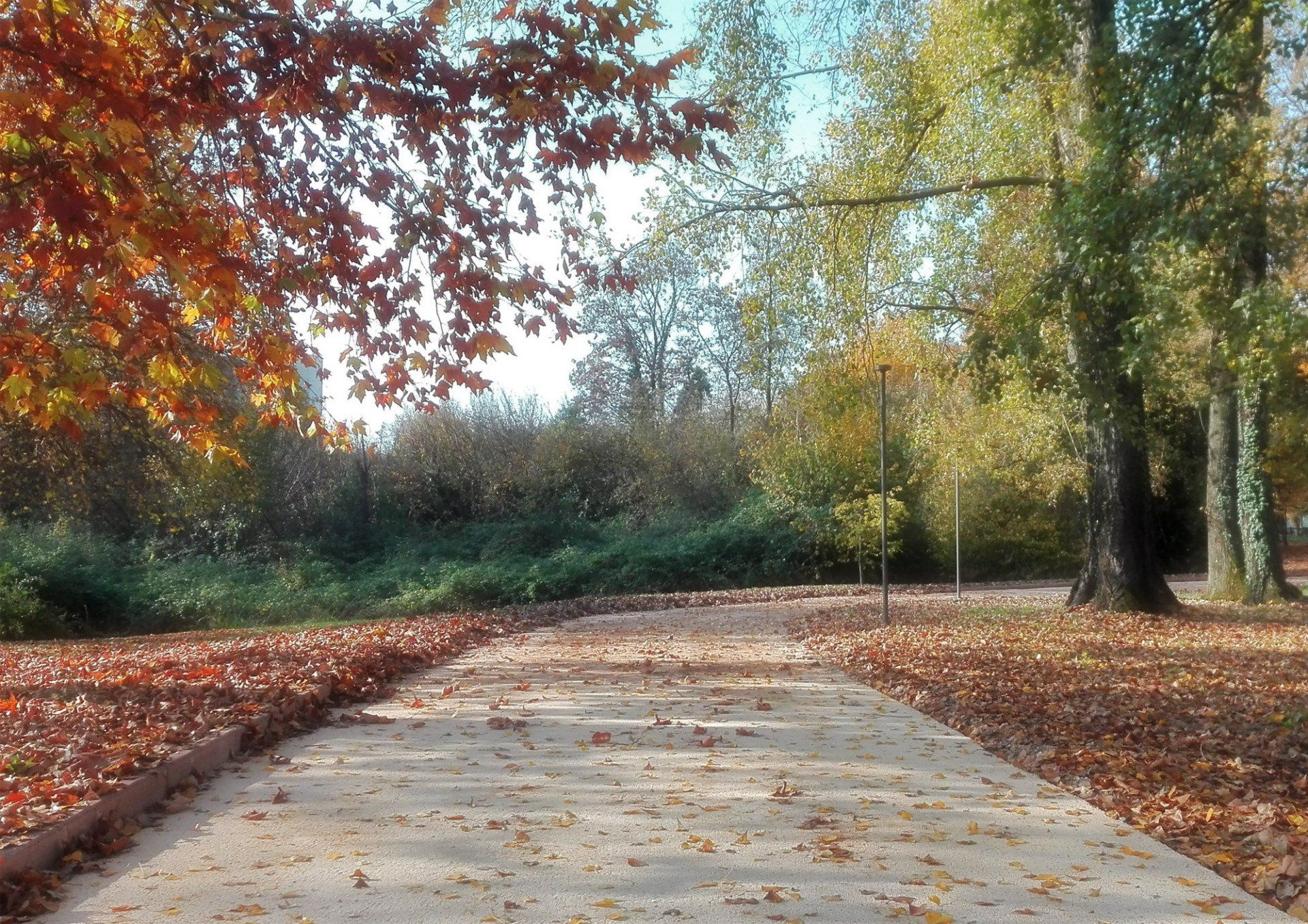 percorso in terra stabilizzata con guida naturale per non vedenti