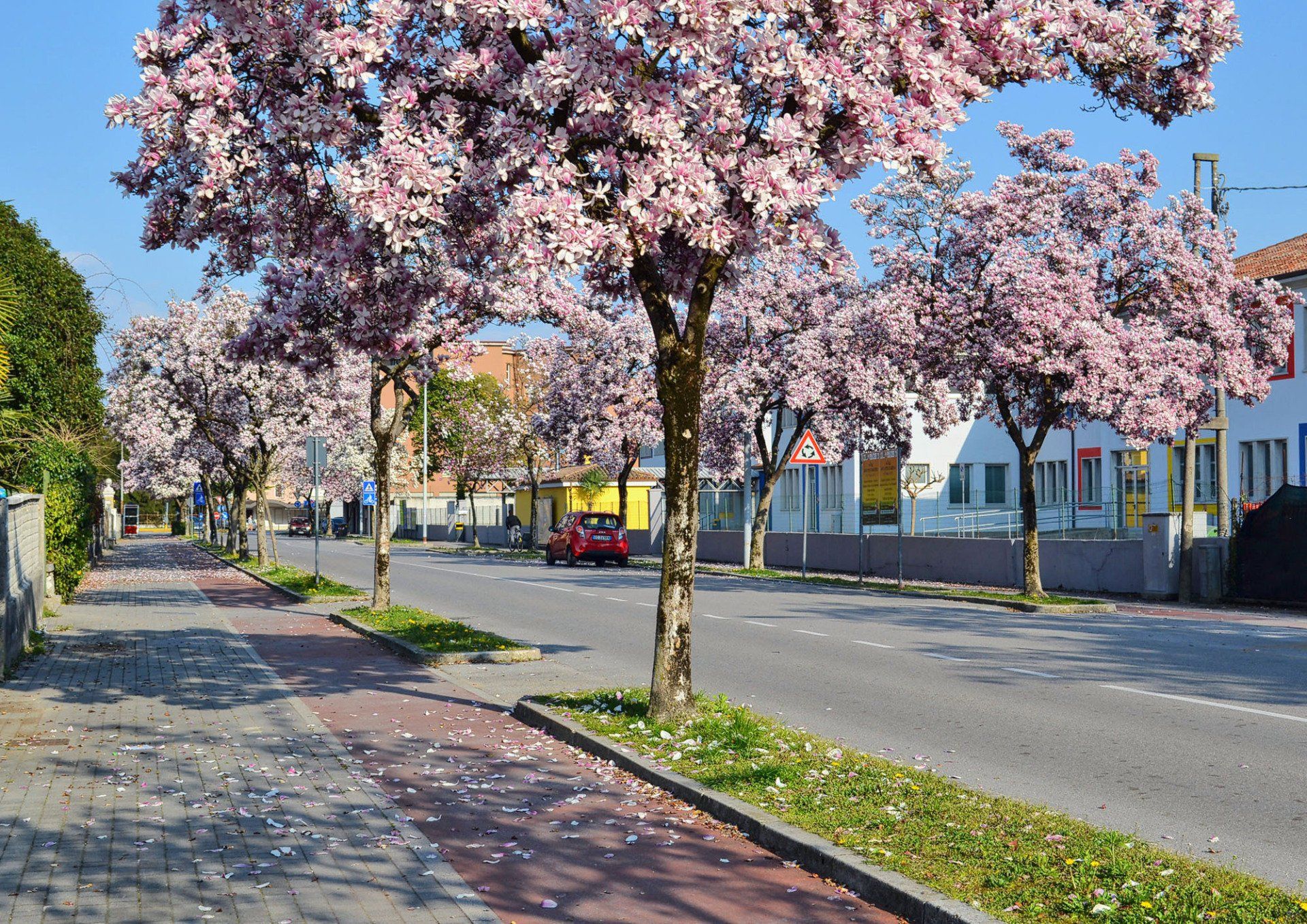 Viale alberato con percorsi protetti