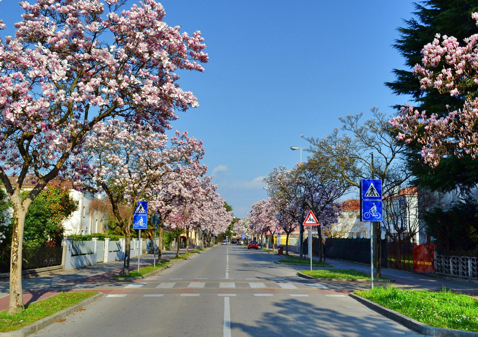Viale alberato con percorsi protetti