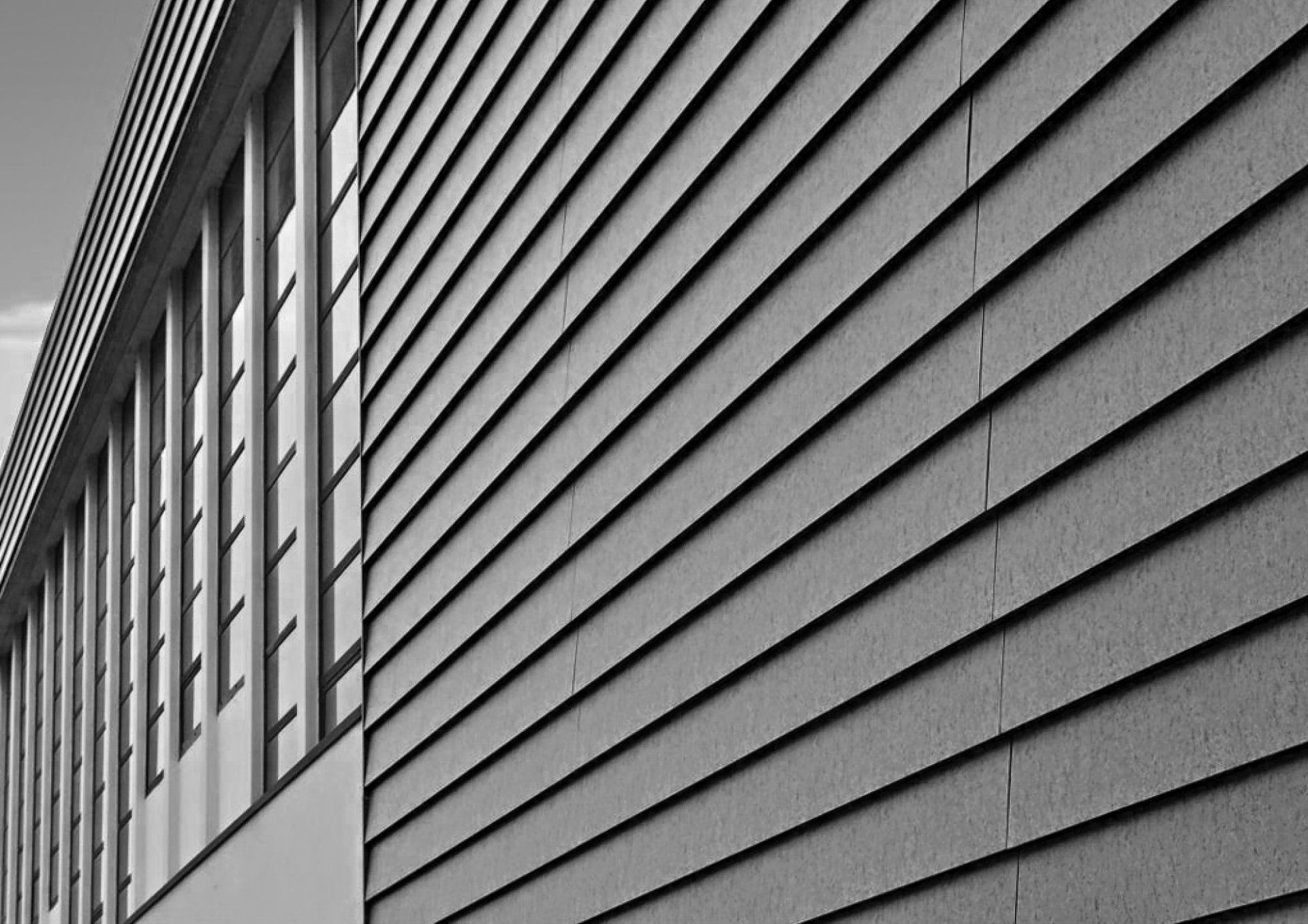 riqualificazione stabilimento la delizia, dettaglio dei rivestimento