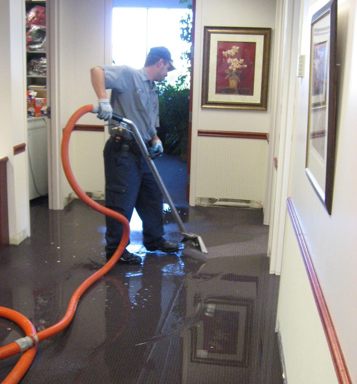 Carpet Cleaning Wilmington, NC