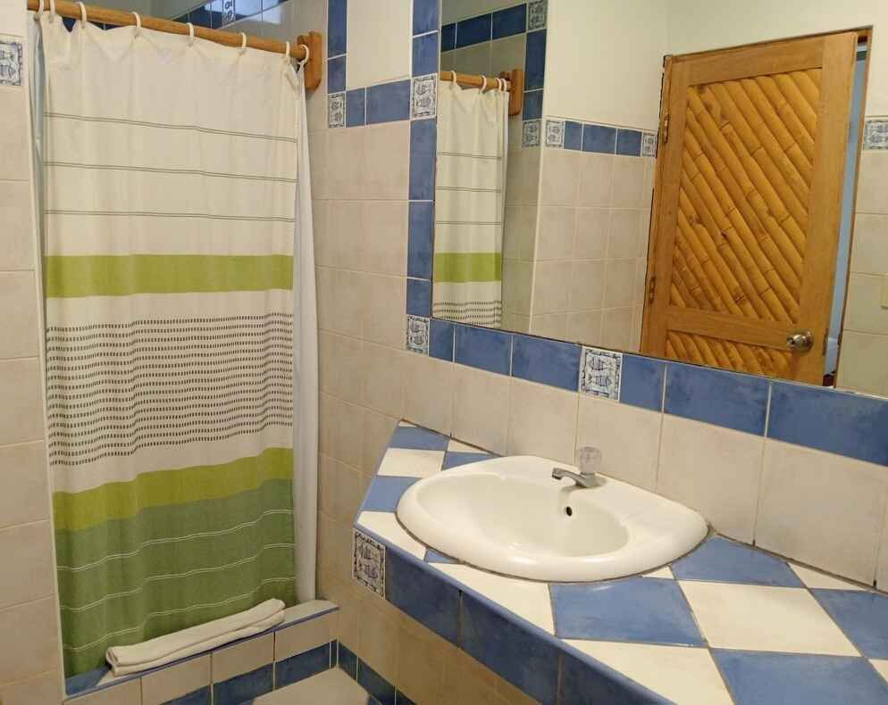 Bathroom with white and blue tiles, a sink, mirror, shower curtain, and wooden door.
