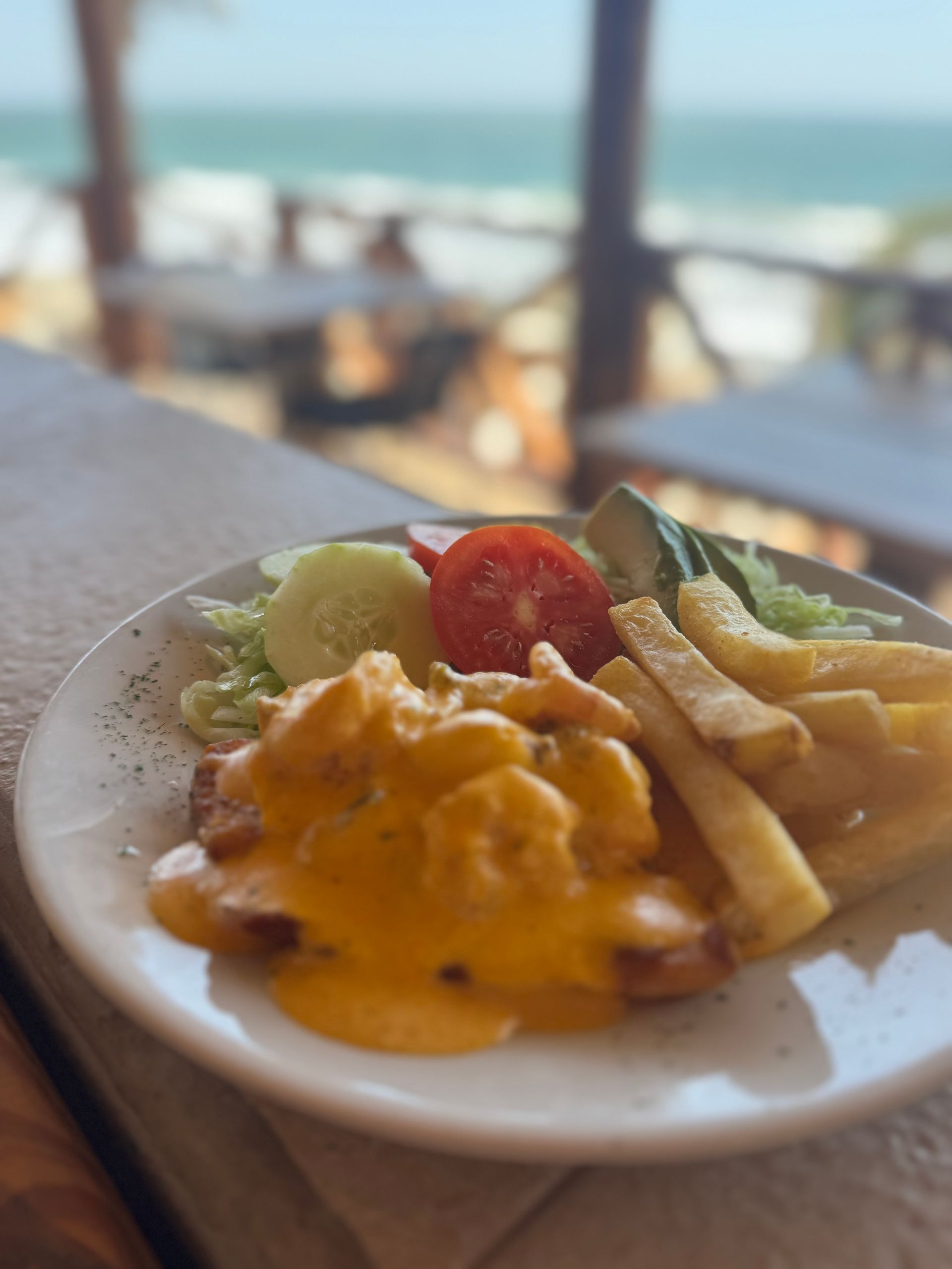 Plate of food with shrimp in sauce, fries, and salad.  Ocean view in background.