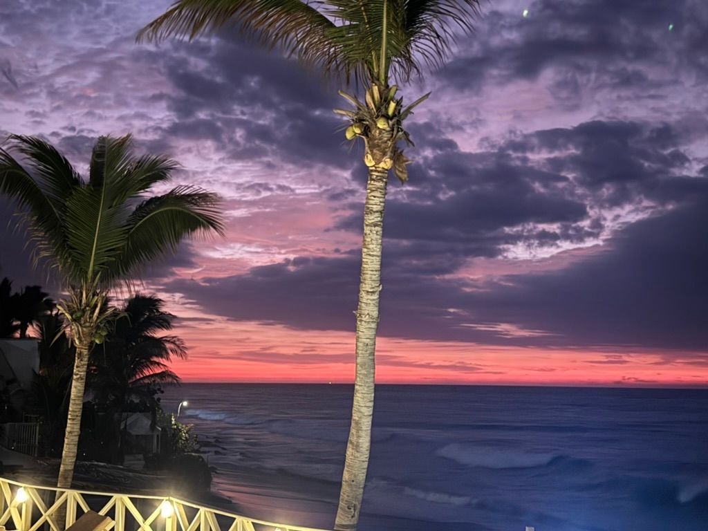 Palm trees frame a vibrant sunset over the ocean; purple and red hues fill the sky.