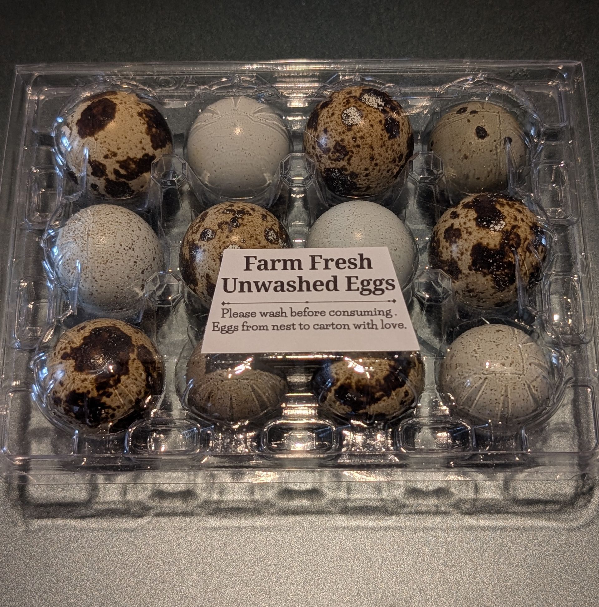 Freshly Laid Quail Eggs
