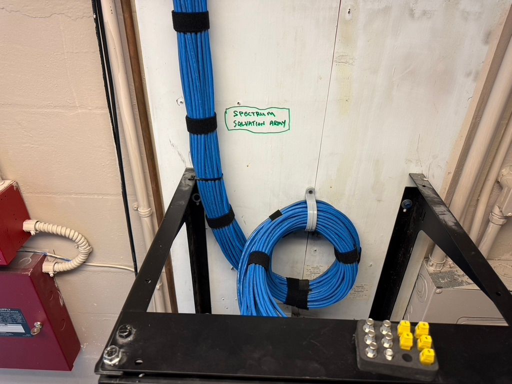 A bunch of blue wires are hanging from a wall