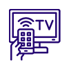 TV Installation Services