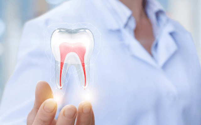 un dentista tiene in mano un dente con l' interno del dente mostrato .