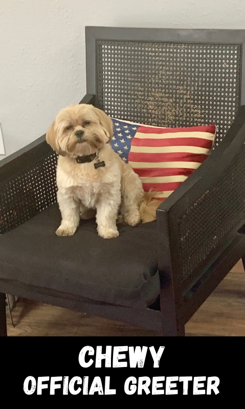 A dog is standing in front of a red car.