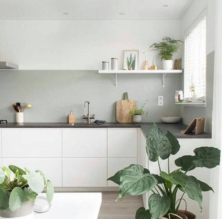 Modern White Kitchen With Plants, Countertop, and a Shelf With Decor — Akyrah Kitchens in Gympie, QLD