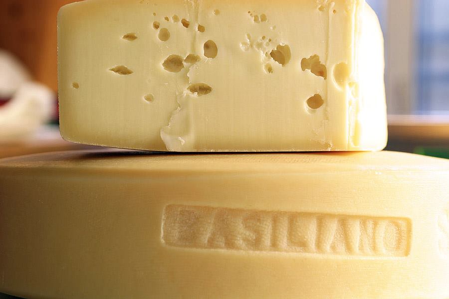 formaggi della savia