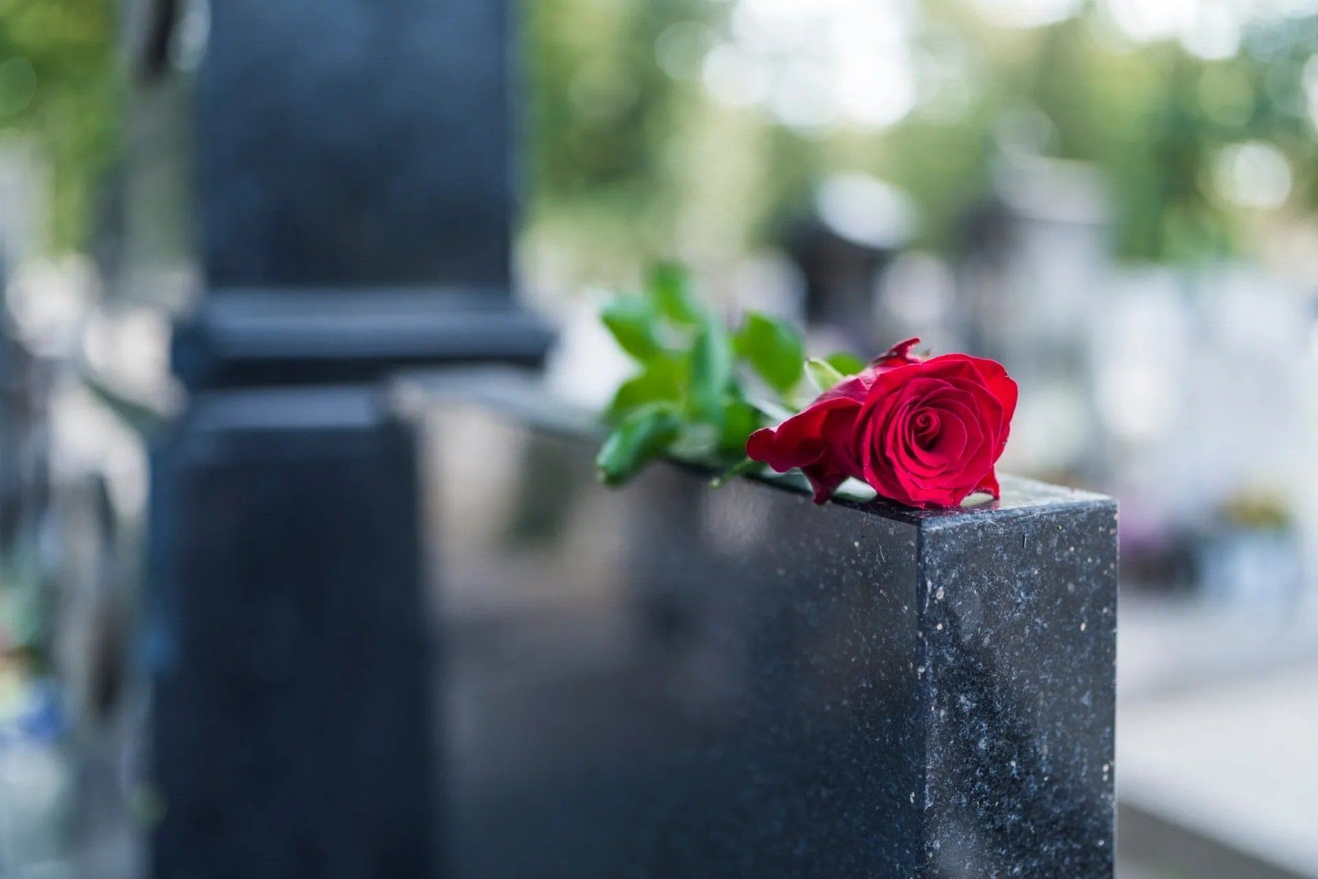 Fiore su tomba