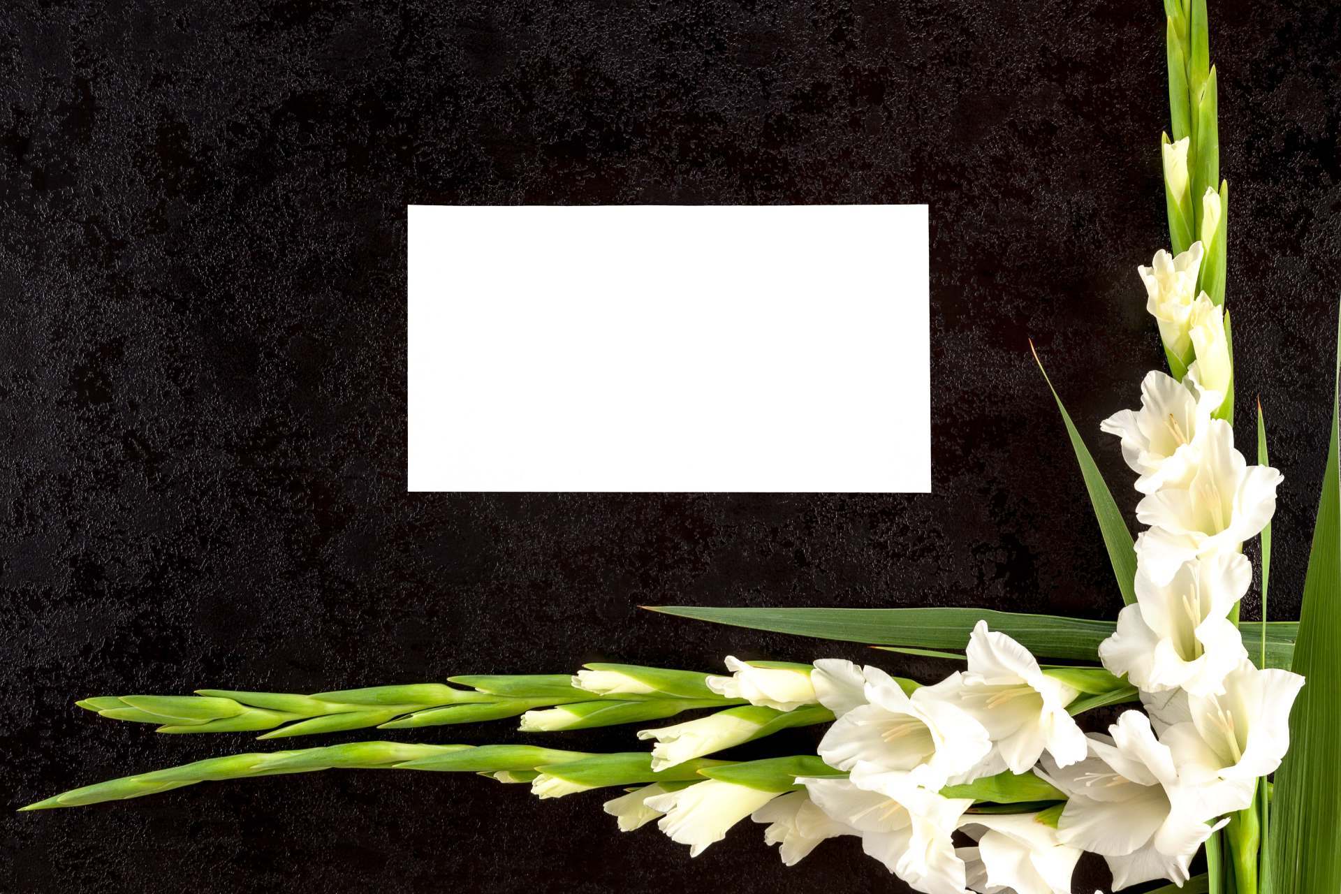 Cornice per necrologio