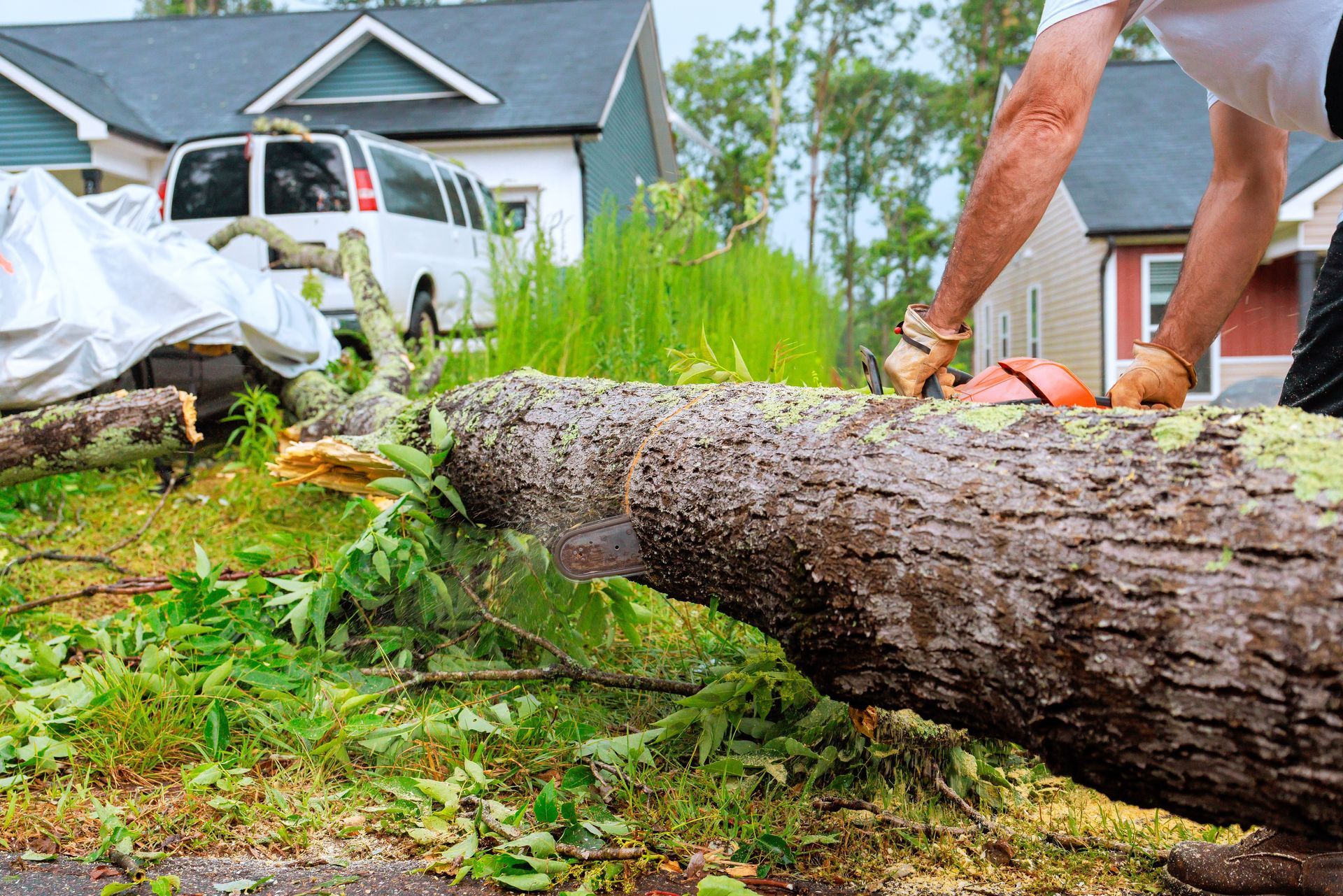 Fallen tree trunk across a yard with a worker cutting branches near a damaged house and van