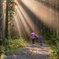 A profile picture style image showing a mother walking with her child through a thick forest trail with beams of sunlight filtering through the trees.