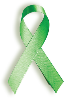 a green ribbon is crossed over itself on a white background