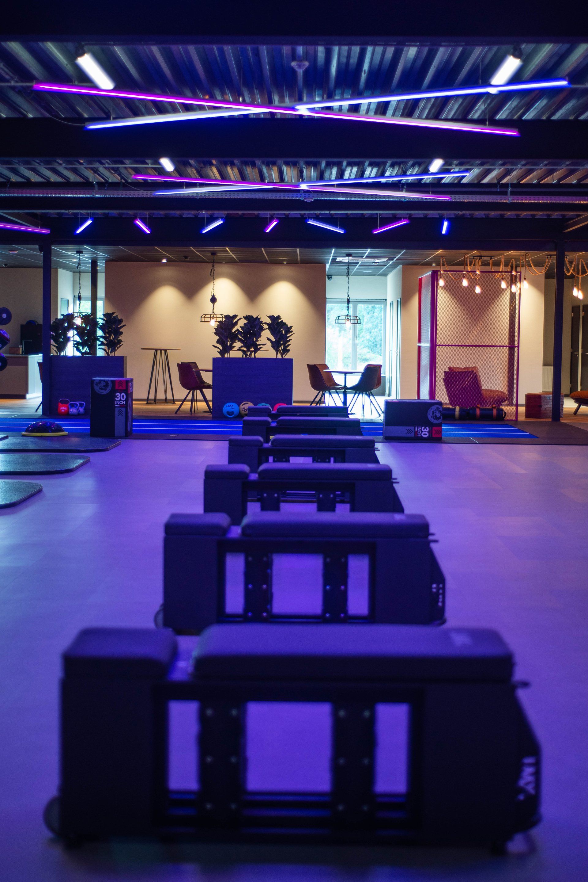 Een gymzaal met paarse lampen aan het plafond en een rij banken.