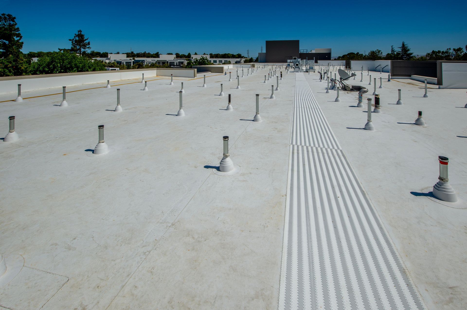 Flat, white commercial roof with vent pipes, clear blue sky.