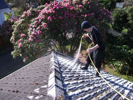 quality roofing services in Wellington