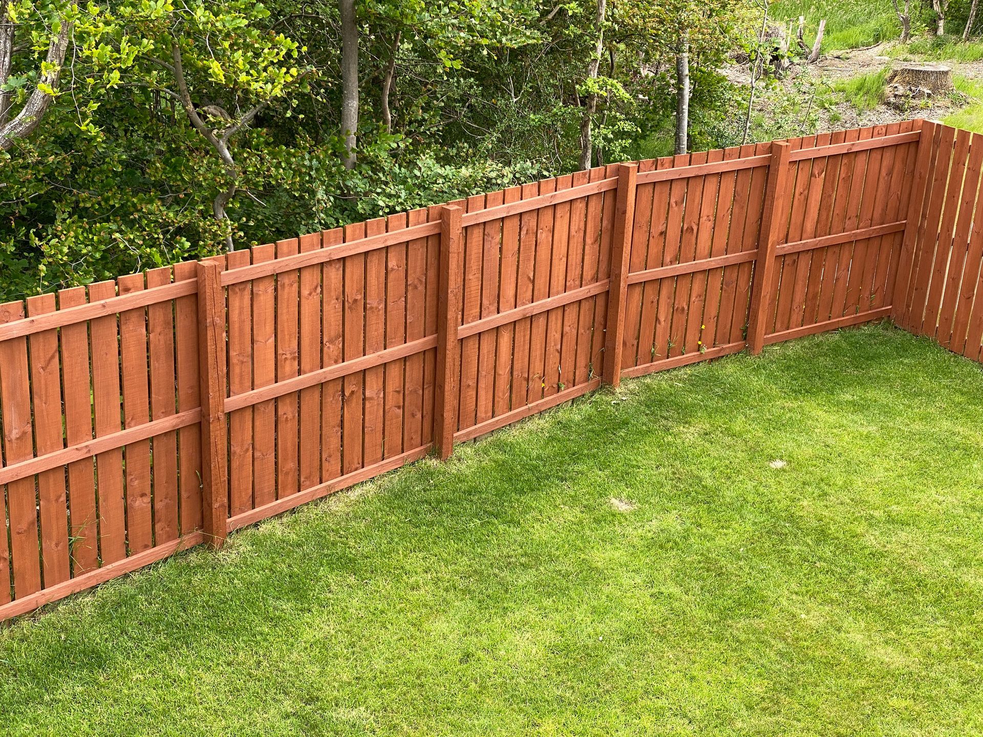 Wooden garden fence coated with medium oak colour paint.