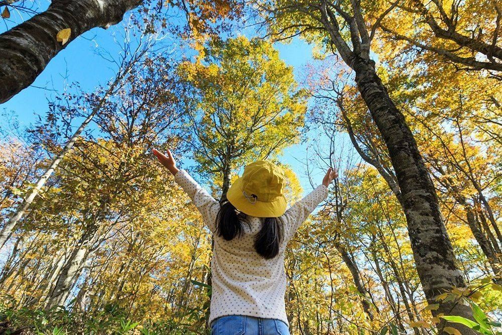 Heritage Trails Park District invites you to explore the Dr. Elizabeth Yahl-Kuffner Nature Preserve 