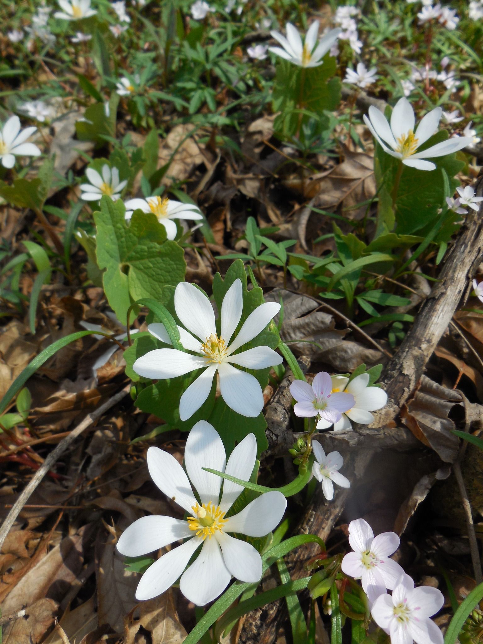 April 20 - May 4, 2026