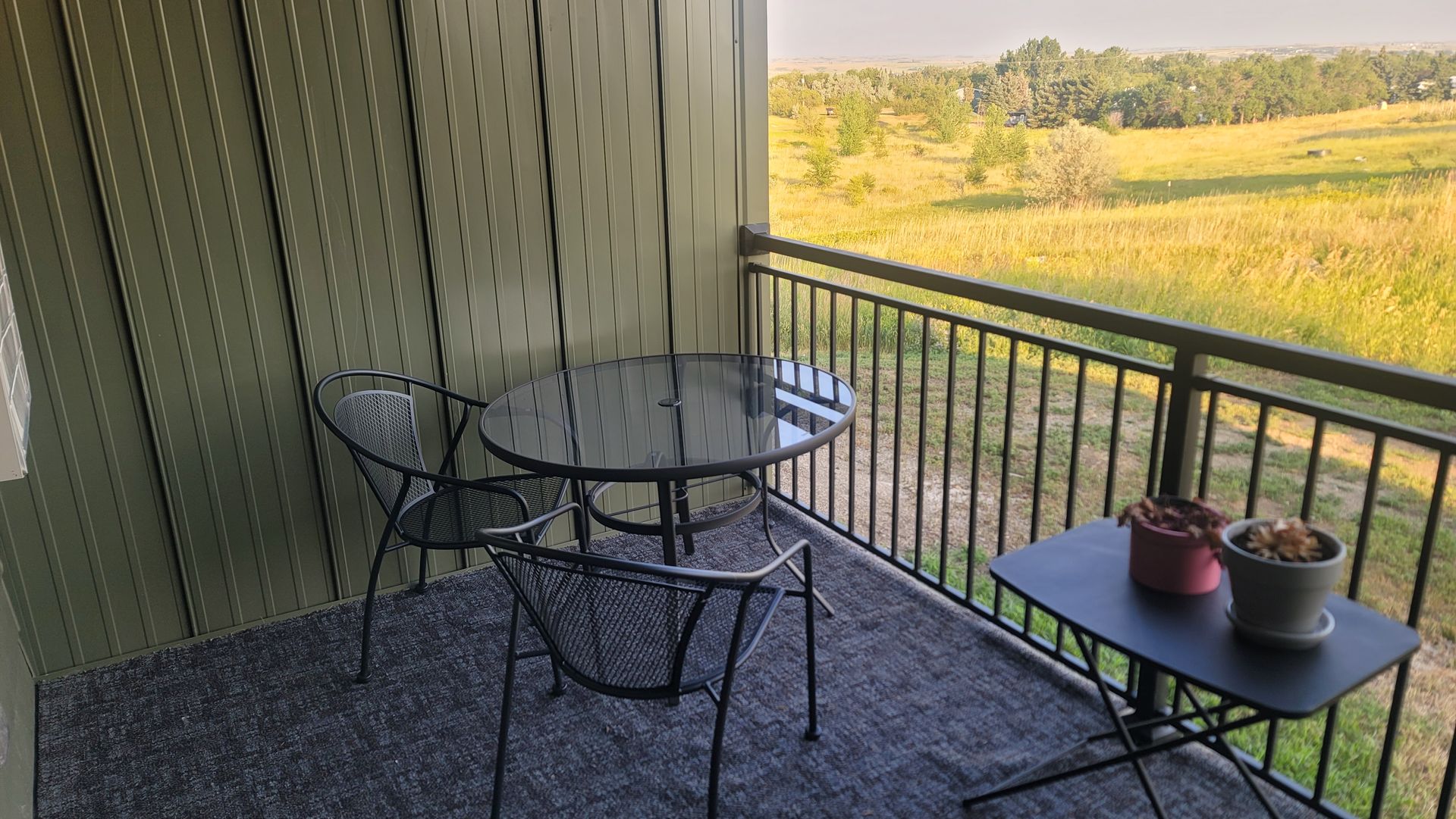 Balcony with black metal table and chairs, small side table with potted plants, overlooking a field.