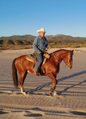 GARCIA GONZALEZ ADOLFO DR