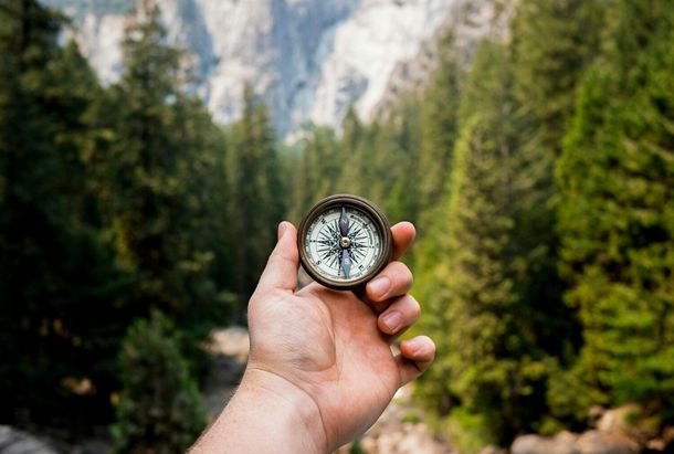 A person is holding a compass in their hand in front of a forest.