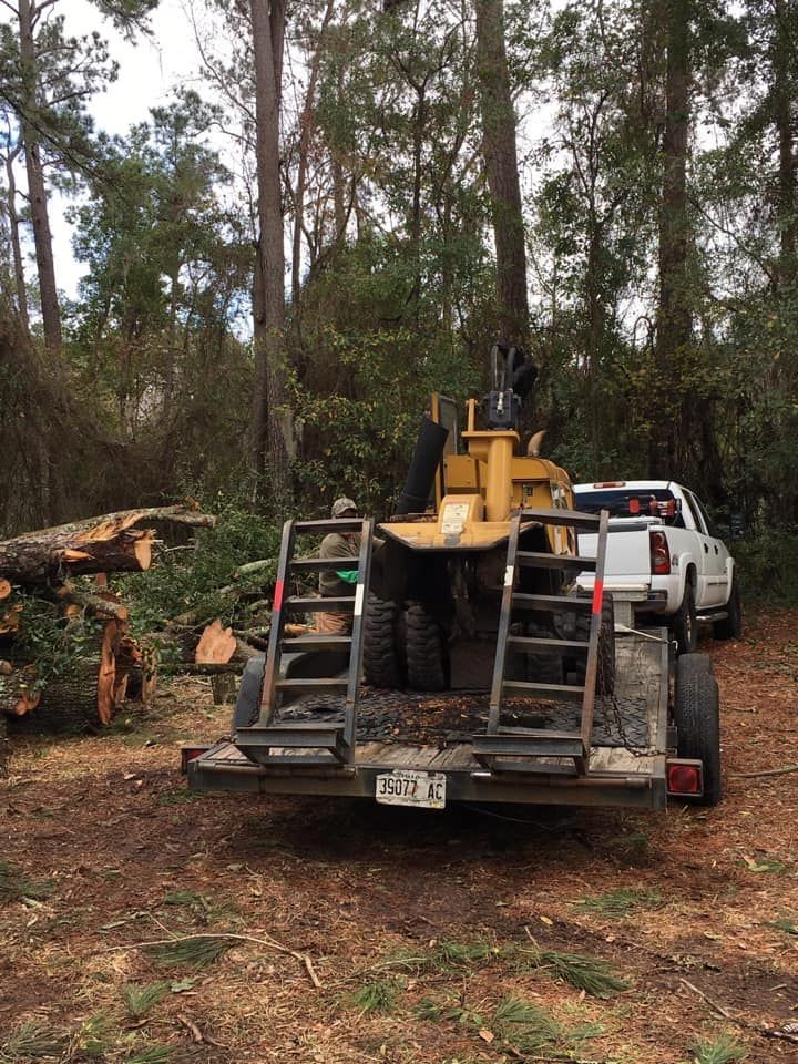 Tree Services