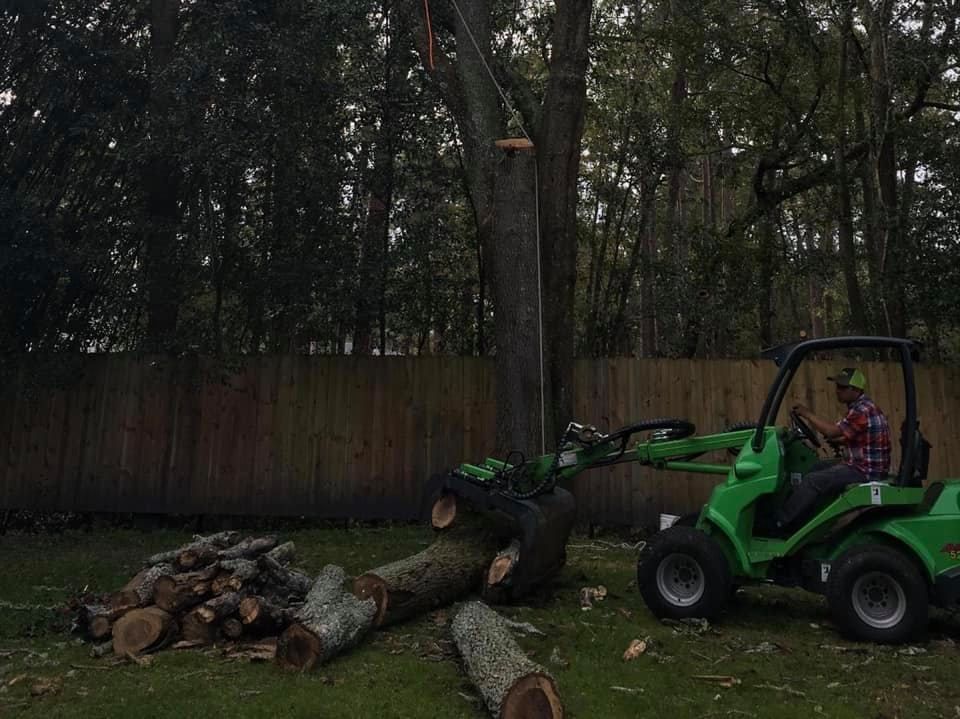 Tree Services