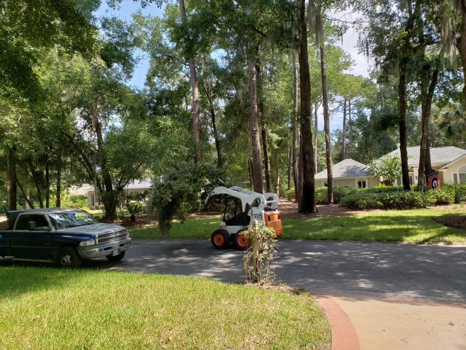 Tree ServicesTree Services