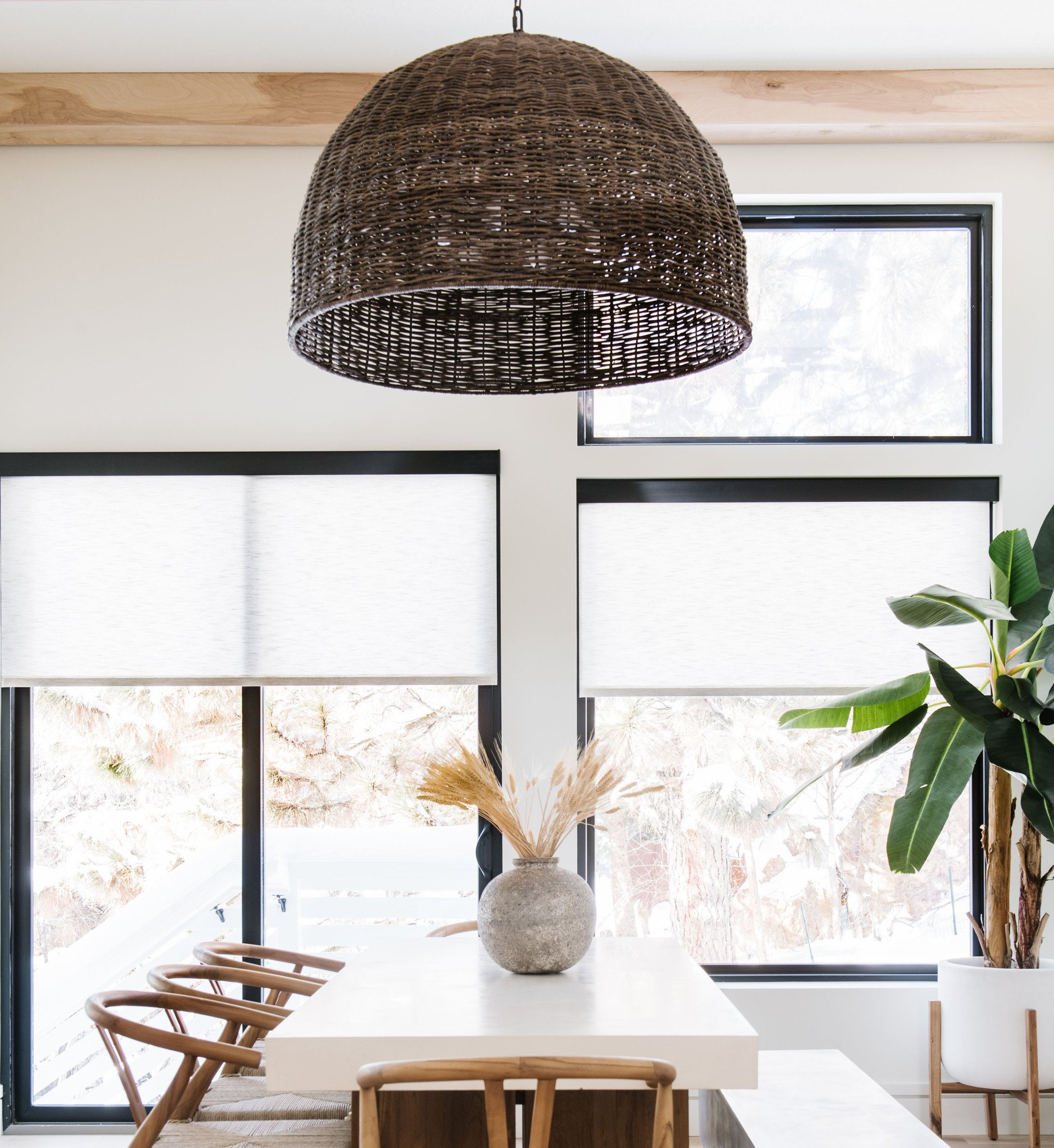 White Roller shades with black fascia