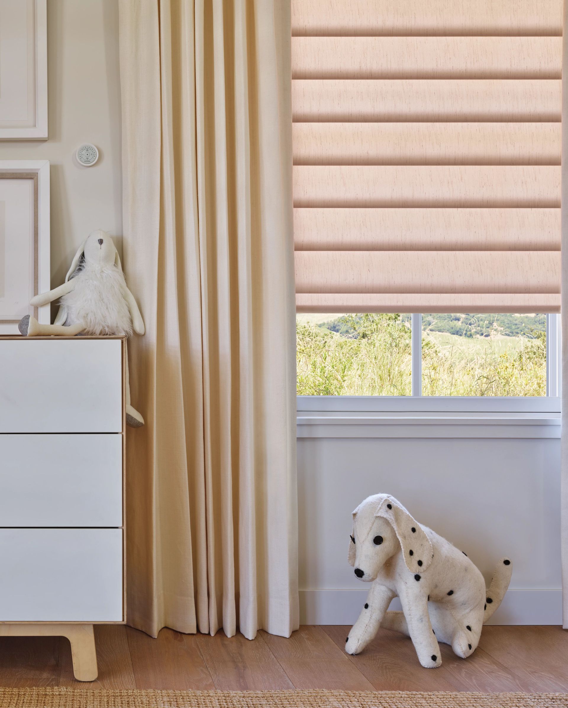 HUNTER DOUGLAS PIROUETTE SHADES
