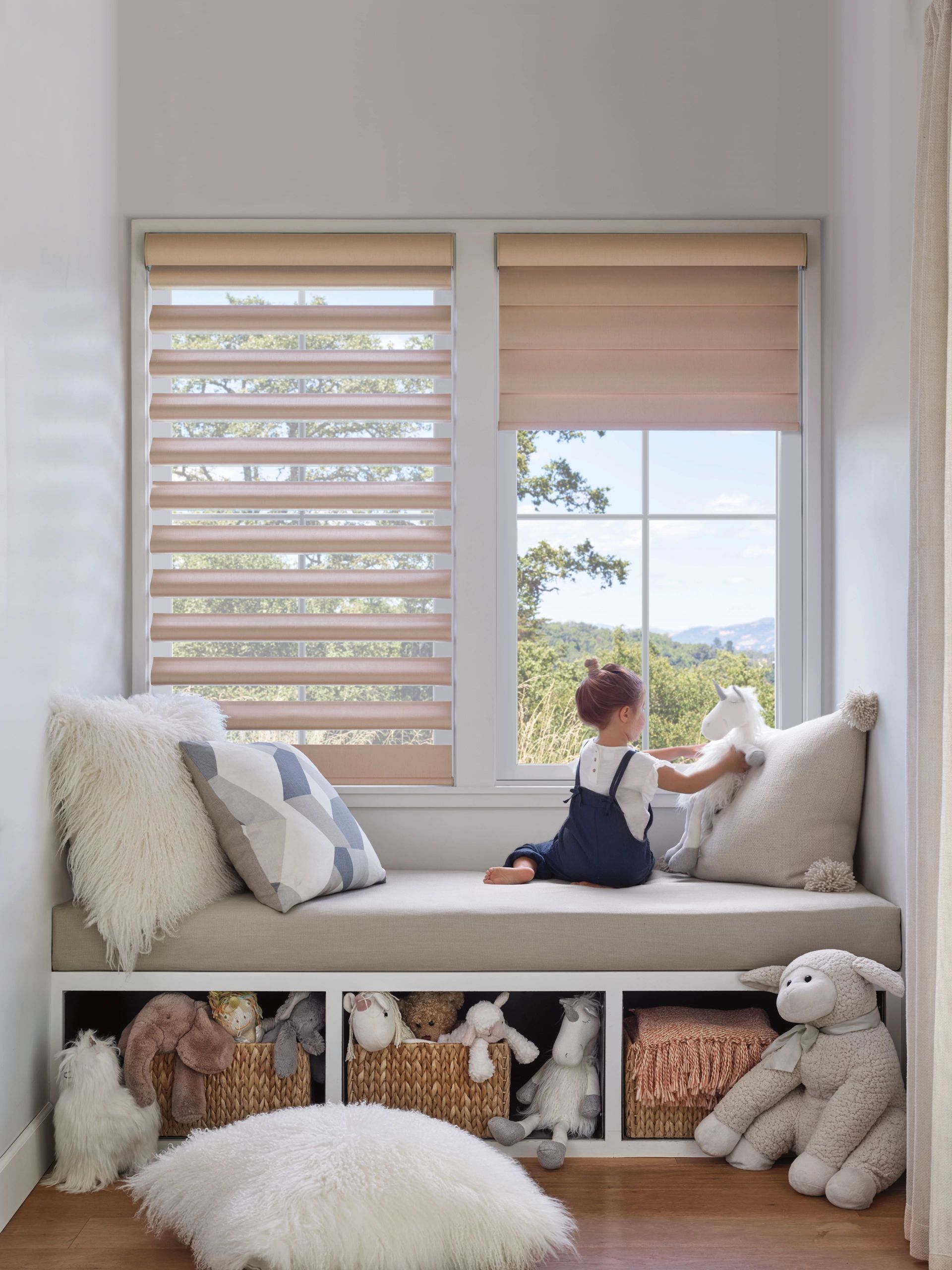 HUNTER DOUGLAS PIROUETTE SHADES