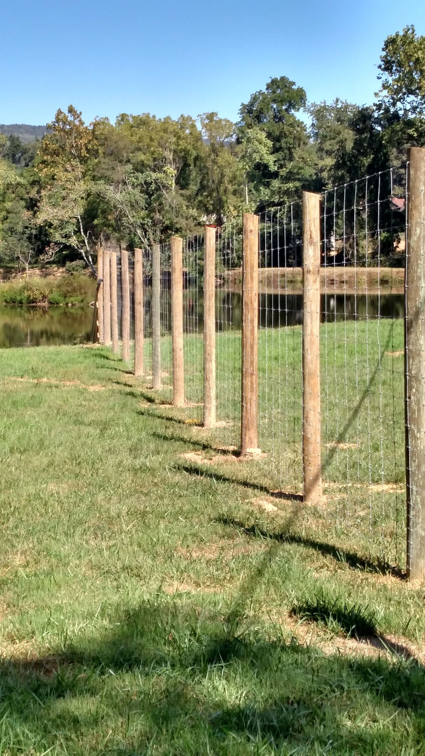 Fence with wooden posts and wire, along a grassy area by water, trees in background.